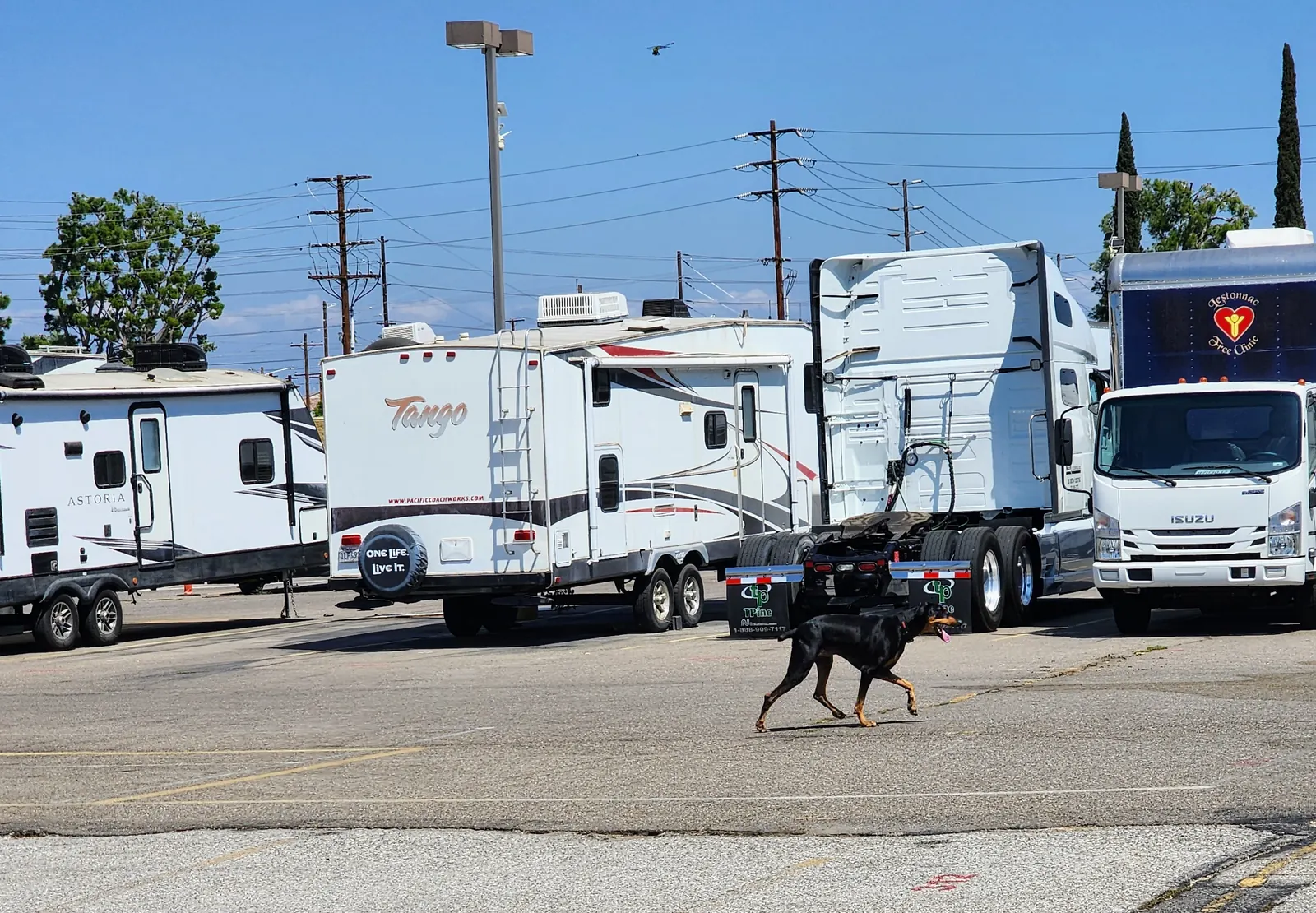 Inside the Circle C Storage lot — RVs, motorhomes, and trailers parked under blue sky